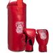 Боксерський набір дитячий (рукавички+мішок) LEV LV-4686 (PVC, мішок h-40см, d-15см, кольори в асортименті)